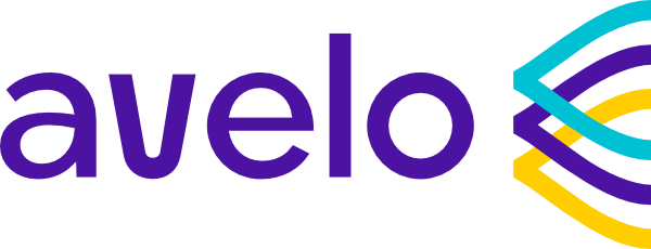 Bellinger - Aviation Investment